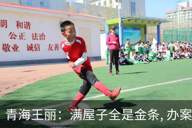 青海王丽：满屋子全是金条, 办案人员数到手抖, 丈夫受不了提前离场